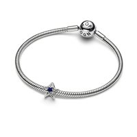 Charm Pandora in Lega metallica 735034C01 - 735034C01